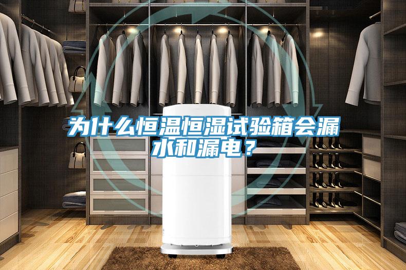 為什么恒溫恒濕試驗(yàn)箱會(huì)漏水和漏電？