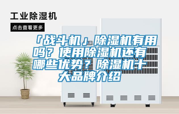 「戰斗機」除濕機有用嗎？使用除濕機還有哪些優勢？除濕機十大品牌介紹