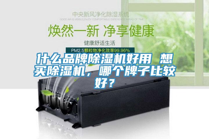 什么品牌除濕機好用 想買除濕機，哪個牌子比較好？