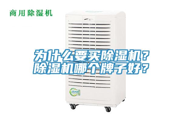 為什么要買除濕機(jī)？除濕機(jī)哪個牌子好？