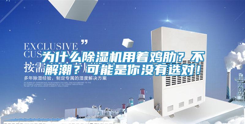 為什么除濕機(jī)用著雞肋？不解潮？可能是你沒有選對！