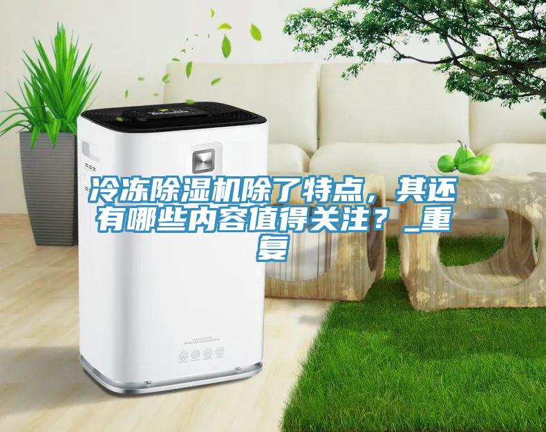 冷凍除濕機除了特點，其還有哪些內容值得關注？_重復