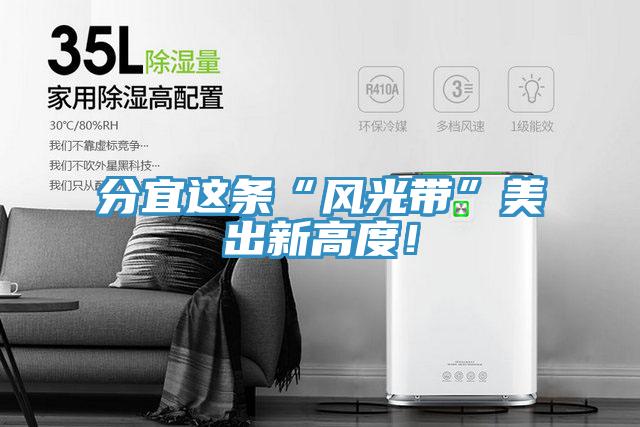 分宜這條“風光帶”美出新高度！