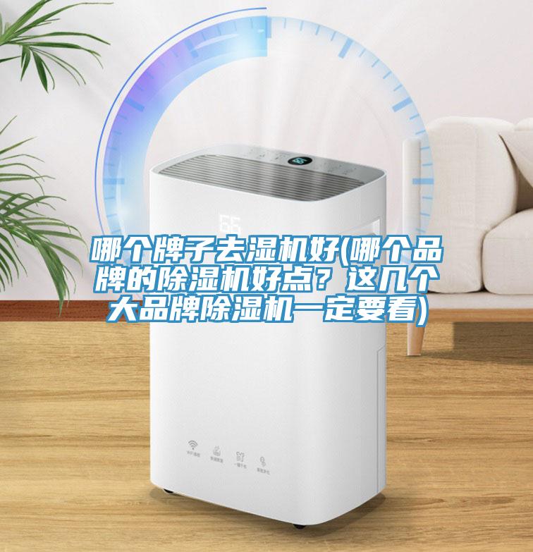 哪個牌子去濕機好(哪個品牌的除濕機好點？這幾個大品牌除濕機一定要看)