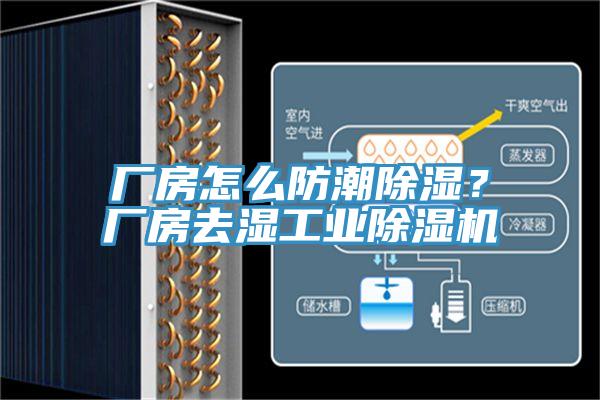 廠房怎么防潮除濕？廠房去濕工業除濕機