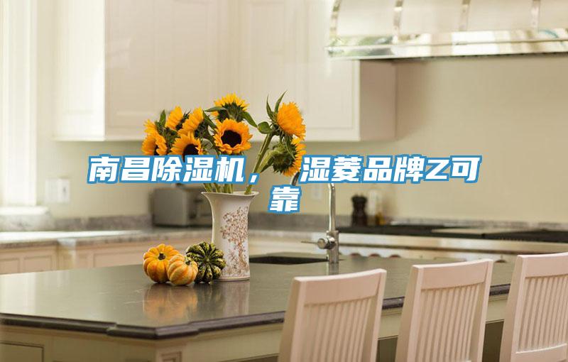 南昌除濕機， 濕菱品牌Z可靠