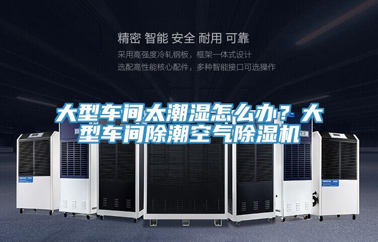 大型車間太潮濕怎么辦?大型車間除潮空氣除濕機(jī)