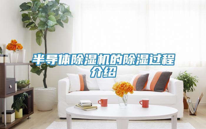 半導(dǎo)體除濕機的除濕過程介紹