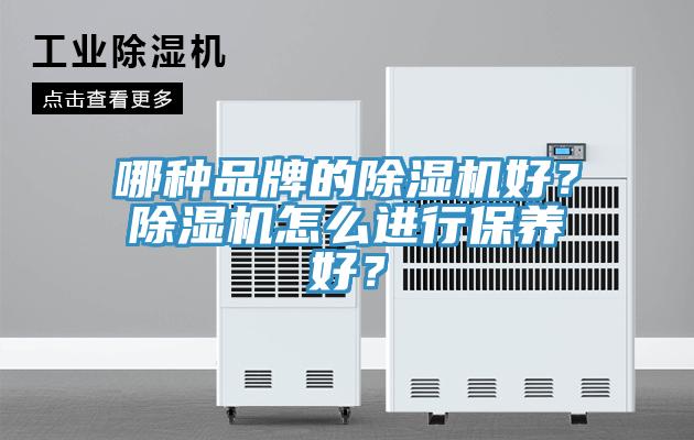 哪種品牌的除濕機好?除濕機怎么進行保養(yǎng)好?