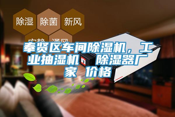 奉賢區車間除濕機,工業抽濕機 除濕器廠家 價格