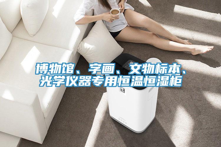 博物館、字畫、文物標本、光學儀器專用恒溫恒濕柜