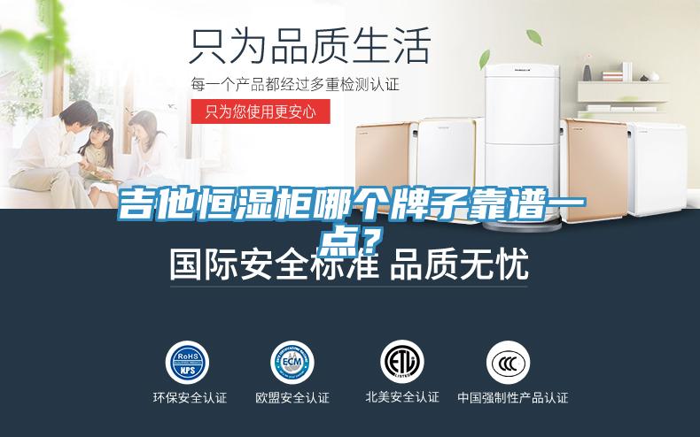 吉他恒濕柜哪個牌子靠譜一點？