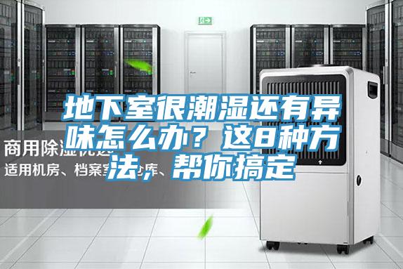 地下室很潮濕還有異味怎么辦？這8種方法，幫你搞定
