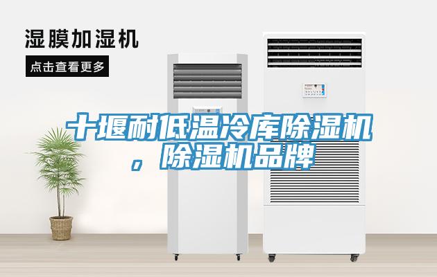 十堰耐低溫冷庫除濕機,除濕機品牌