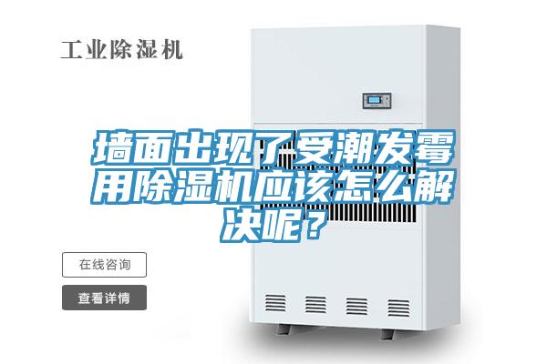墻面出現(xiàn)了受潮發(fā)霉用除濕機應(yīng)該怎么解決呢？