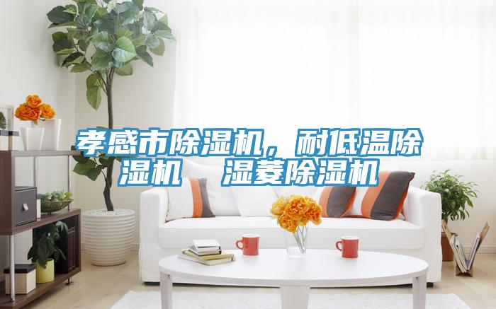 孝感市除濕機，耐低溫除濕機  濕菱除濕機