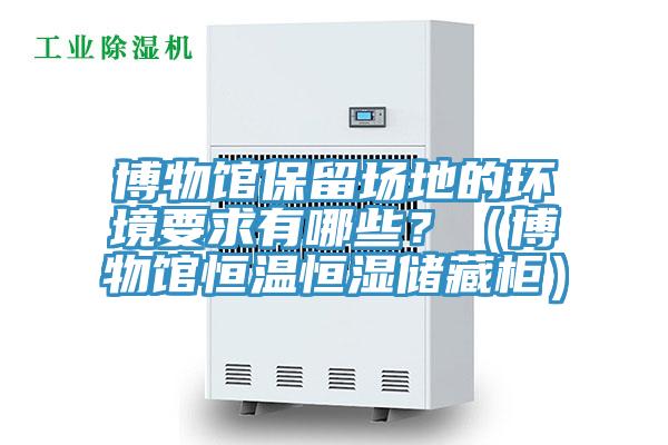 博物館保留場地的環境要求有哪些？（博物館恒溫恒濕儲藏柜）