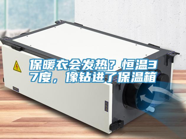 保暖衣會(huì)發(fā)熱？恒溫37度，像鉆進(jìn)了保溫箱