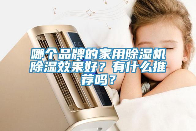 哪個品牌的家用除濕機除濕效果好？有什么推薦嗎？