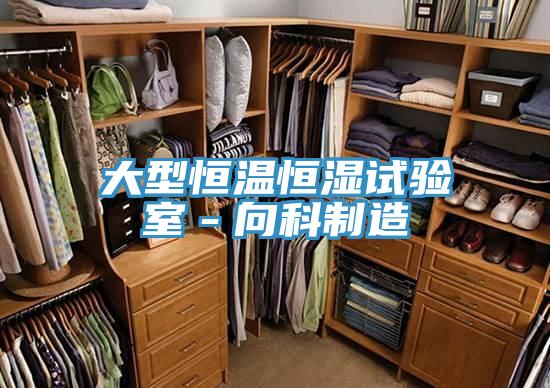 大型恒溫恒濕試驗(yàn)室-向科制造