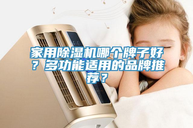 家用除濕機哪個牌子好？多功能適用的品牌推薦？
