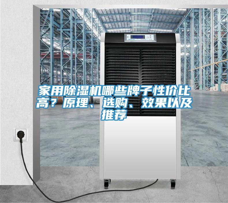 家用除濕機哪些牌子性價比高？原理、選購、效果以及推薦