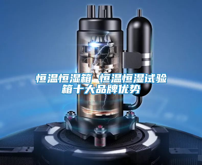 恒溫恒濕箱 恒溫恒濕試驗(yàn)箱十大品牌優(yōu)勢