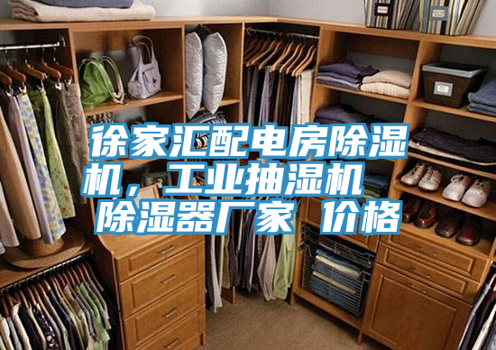 徐家匯配電房除濕機，工業(yè)抽濕機  除濕器廠家 價格