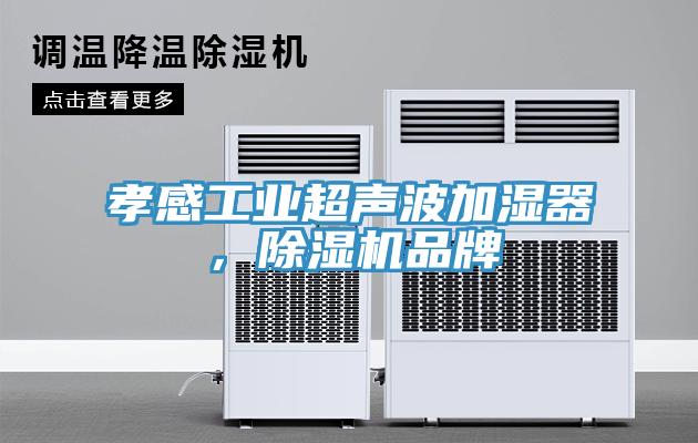 孝感工業超聲波加濕器，除濕機品牌
