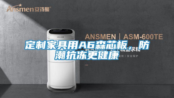 定制家具用A6森芯板，防潮抗凍更健康