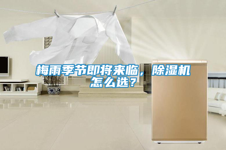 梅雨季節即將來臨，除濕機怎么選？