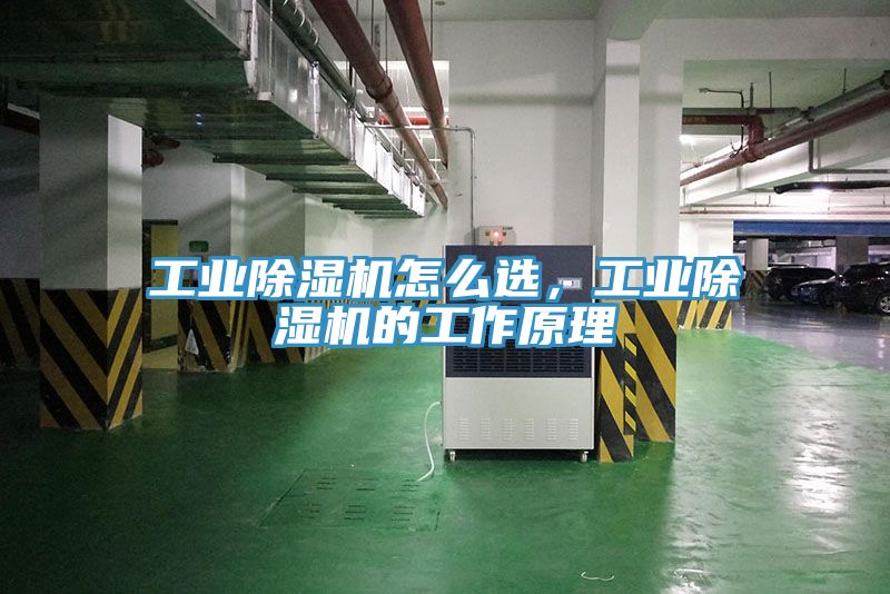 工業除濕機怎么選，工業除濕機的工作原理