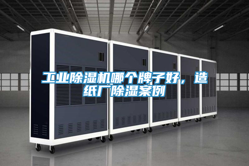 工業(yè)除濕機(jī)哪個牌子好，造紙廠除濕案例