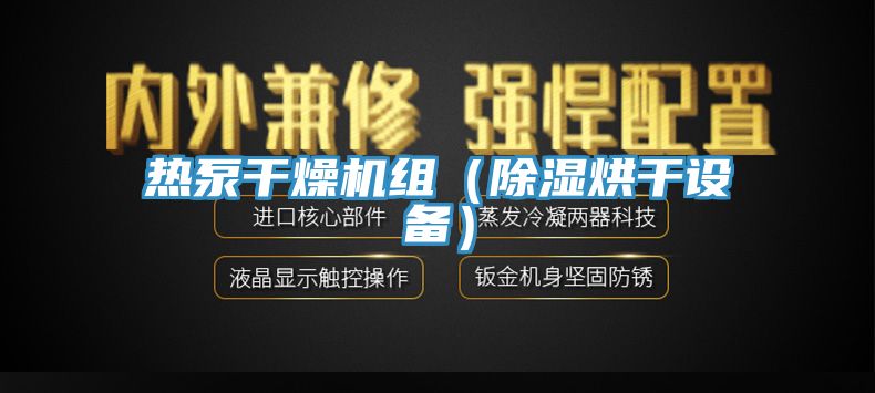 熱泵干燥機(jī)組(除濕烘干設(shè)備)