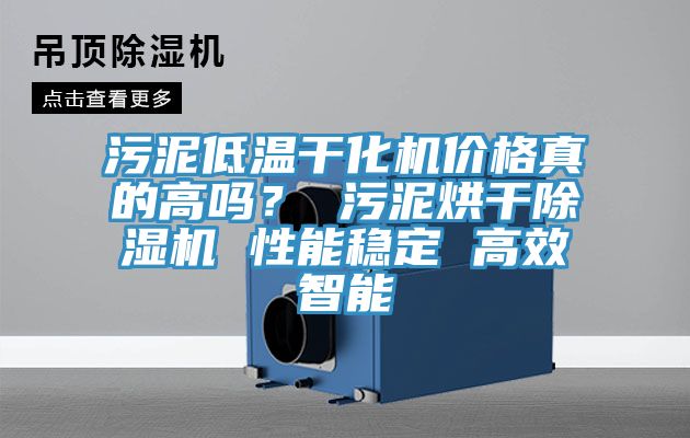 污泥低溫干化機(jī)價(jià)格真的高嗎？ 污泥烘干除濕機(jī) 性能穩(wěn)定 高效智能