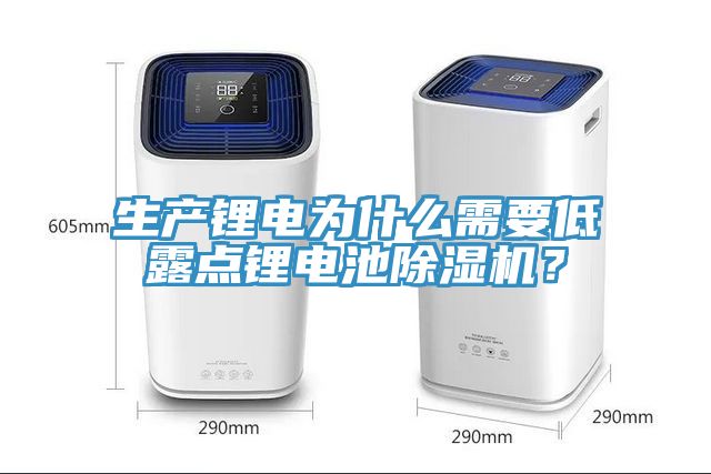 生產(chǎn)鋰電為什么需要低露點鋰電池除濕機?