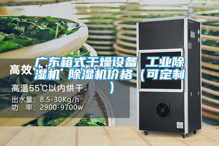廣東箱式干燥設備 工業除濕機 除濕機價格(可定制)