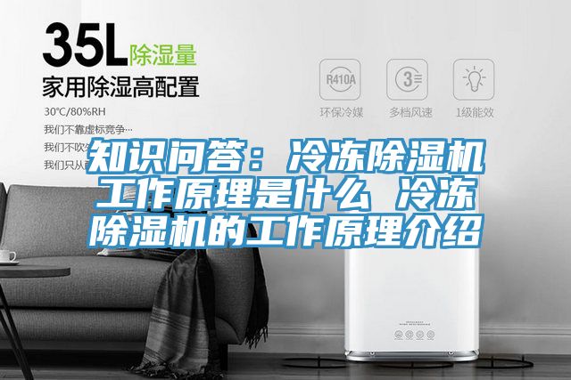 知識(shí)問(wèn)答:冷凍除濕機(jī)工作原理是什么 冷凍除濕機(jī)的工作原理介紹