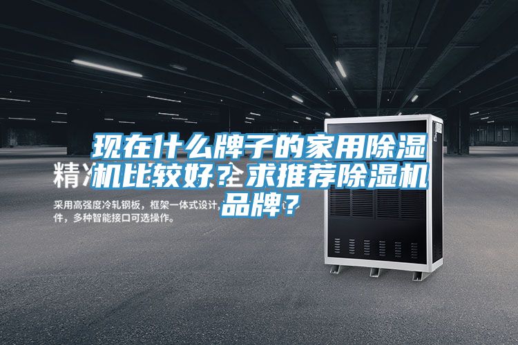 現在什么牌子的家用除濕機比較好？求推薦除濕機品牌？