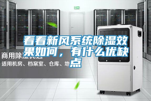 看看新風(fēng)系統(tǒng)除濕效果如何,有什么優(yōu)缺點