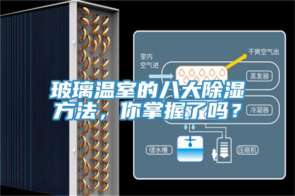 玻璃溫室的八大除濕方法，你掌握了嗎？