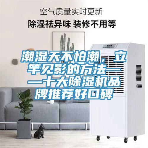 潮濕天不怕潮，立竿見影的方法——十大除濕機品牌推薦好口碑