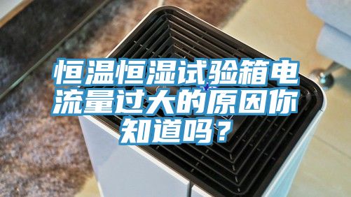 恒溫恒濕試驗箱電流量過大的原因你知道嗎?