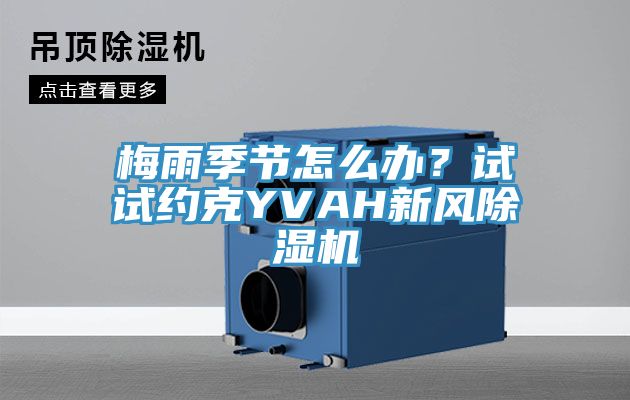 梅雨季節怎么辦?試試約克YVAH新風除濕機