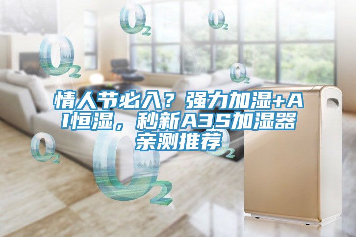 情人節必入？強力加濕+AI恒濕，秒新A3S加濕器親測推薦