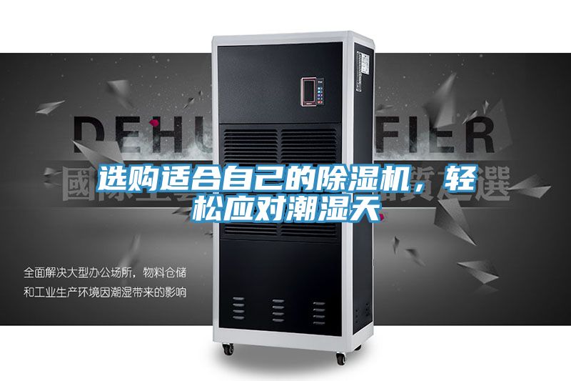 選購適合自己的除濕機,輕松應對潮濕天