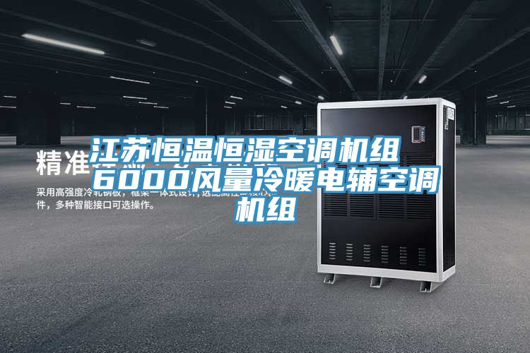 江蘇恒溫恒濕空調機組  6000風量冷暖電輔空調機組