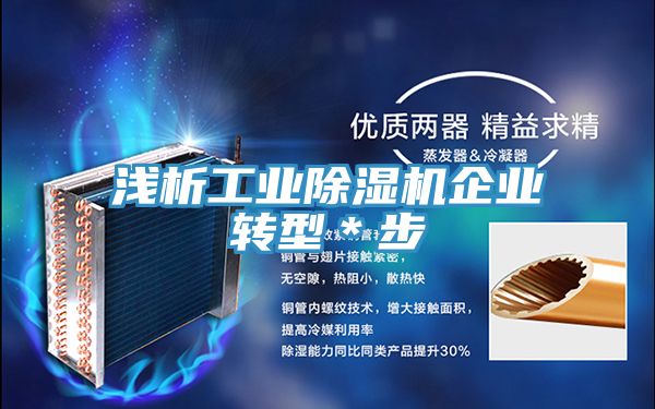 淺析工業(yè)除濕機(jī)企業(yè)轉(zhuǎn)型*步