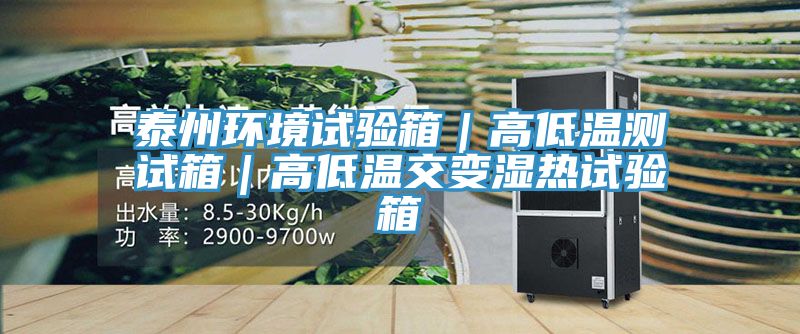 泰州環境試驗箱|高低溫測試箱|高低溫交變濕熱試驗箱