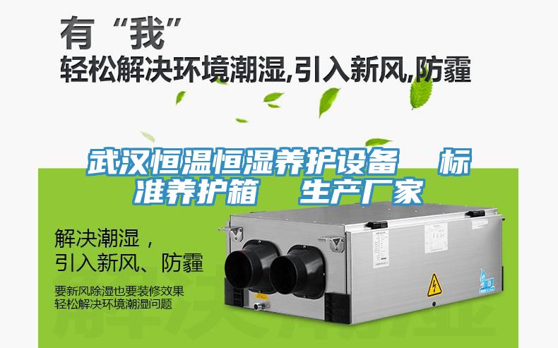 武漢恒溫恒濕養(yǎng)護設(shè)備 標準養(yǎng)護箱 生產(chǎn)廠家